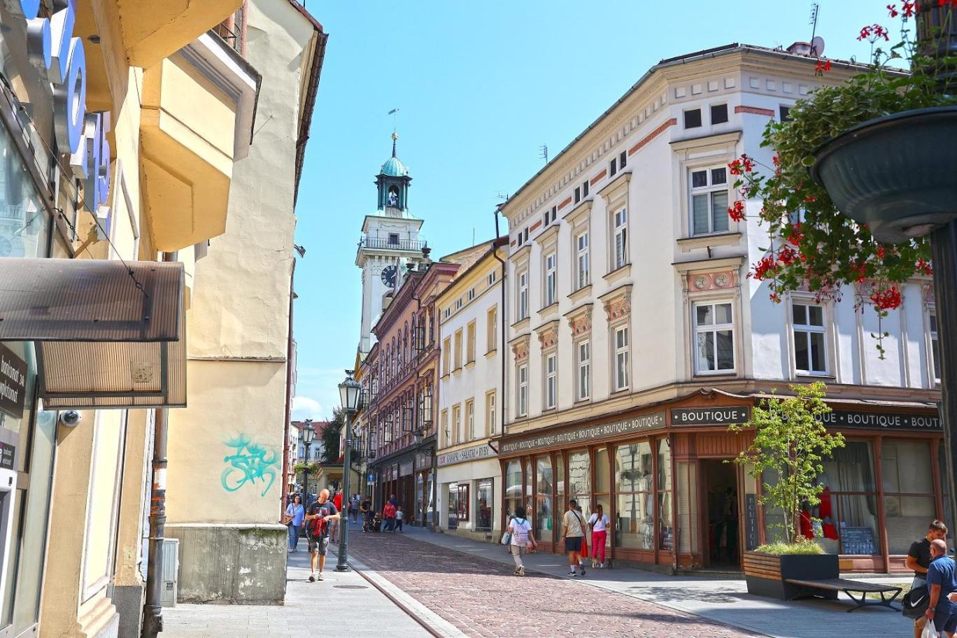 צ'שין Cieszynski Boutique Hotel & Spa Stare Miasto Cieszyn מראה חיצוני תמונה